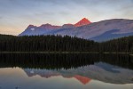 Jasper National Park
