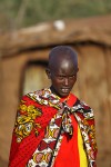 wioska Masajów
