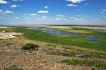 Park Narodowy Amboseli
