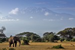 Park Narodowy Amboseli