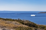 Red Bay
