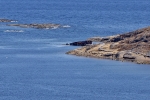 Red Bay
