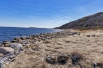 Red Bay
