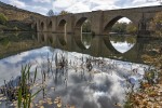 Pont de Brinas
