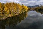 Pont de Brinas
