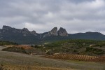 krajobraz winny La Rioja
