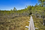 Kemeri National Park
