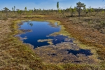 Kemeri National Park
