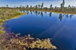 Kemeri National Park
