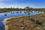 Kemeri National Park
