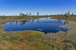 Kemeri National Park
