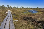 Kemeri National Park
