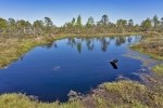 Kemeri National Park
