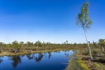 Kemeri National Park
