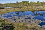 Kemeri National Park

