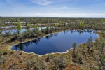Kemeri National Park
