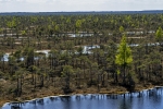 Kemeri National Park
