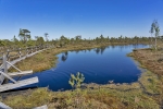 Kemeri National Park
