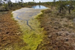 Kemeri National Park
