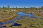 Kemeri National Park
