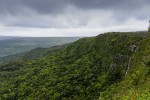 Black River Gorge
