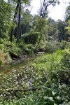 Kampinoski Park Narodowy
