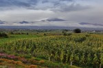 Popocatepetl
