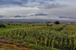 Popocatepetl
