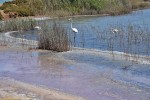 Parque de las Salinas
