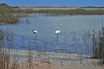 Parque de las Salinas
