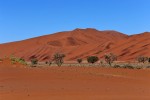 Sossusvlei
