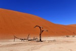 Deadvlei
