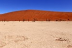 Deadvlei
