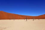 Deadvlei
