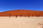 Deadvlei
