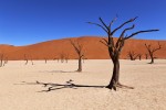 Deadvlei
