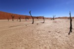 Deadvlei
