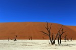 Deadvlei
