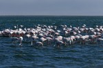 Walvis Bay
