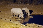 Etosha National Park
