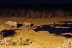 Etosha National Park
