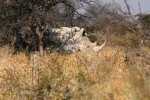 Etosha National Park
