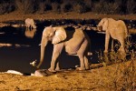 Etosha National Park
