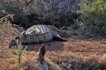 Erindi Private Game Reserve
