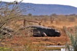 Erindi Private Game Reserve
