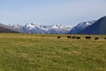 Arthur's Pass
