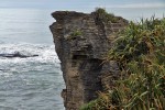 Paparoa National Park
