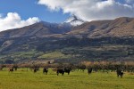 Mount Aspiring National Park
