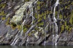 Milford Sound
