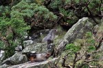 Milford Sound
